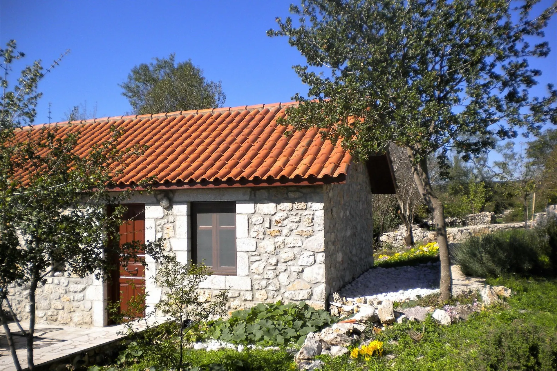 Exterieur vakantiehuis (zomer)
