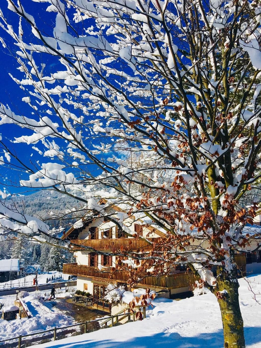 Hotel Menardi, foto 7