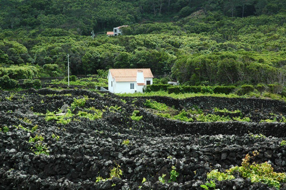 Great Azorean Circuit met transfers en excursies, foto 7