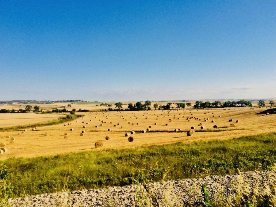 Privé wandelreis Puglia, wandelen tussen trulli, Matera en Barok, foto 11