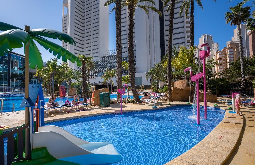 Flamingo Oasis, foto 15