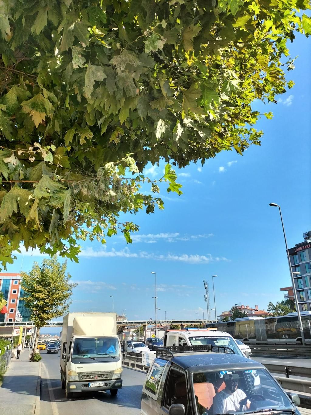 Istanbul Dedem, foto 3