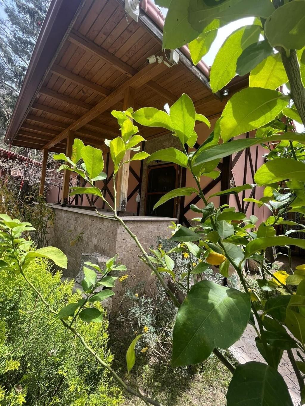 Ipek Butik Hotel, foto 12