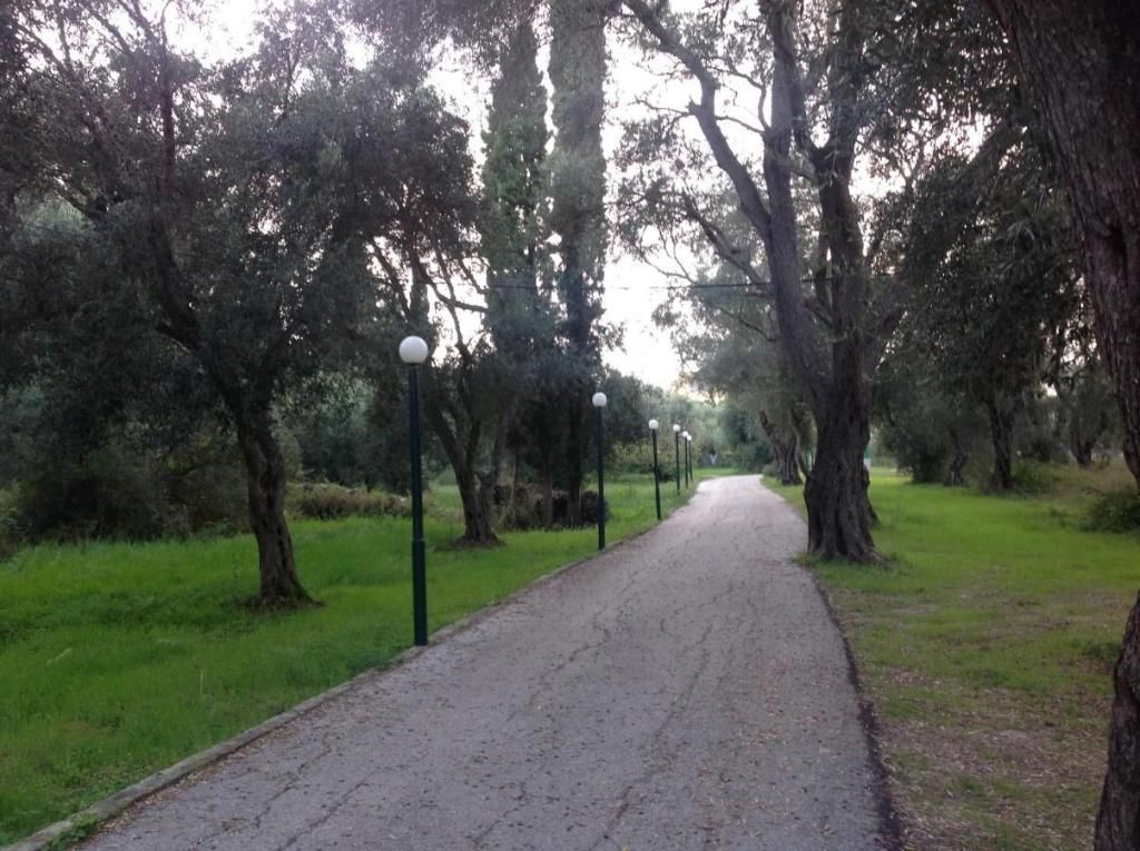 Yianetta Complex, foto 2