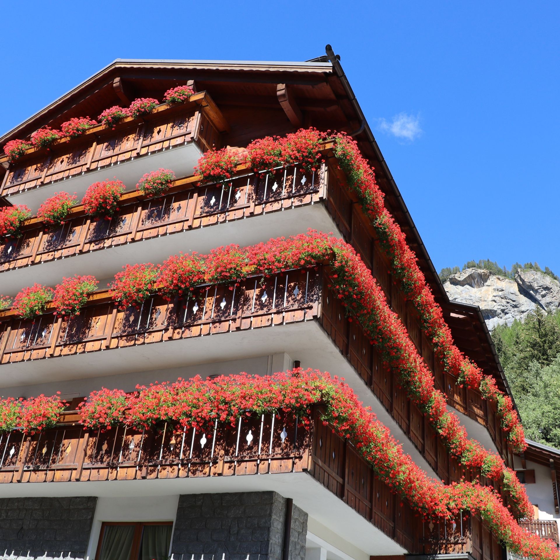 Residence Edelweiss, foto 2