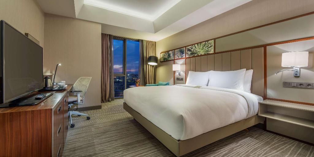 Hilton Garden Inn Istanbul Ataturk Airport, foto 15