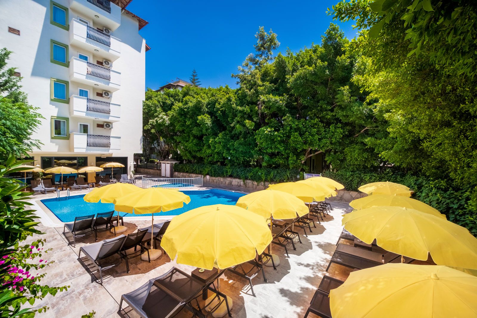 Villa Sunflower Hotel, foto 9