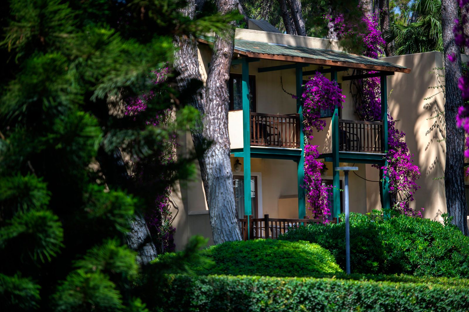 Turquoise Hotel, foto 12