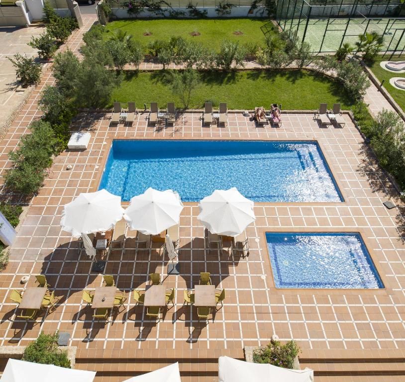 Bonsol Prestige, foto 3