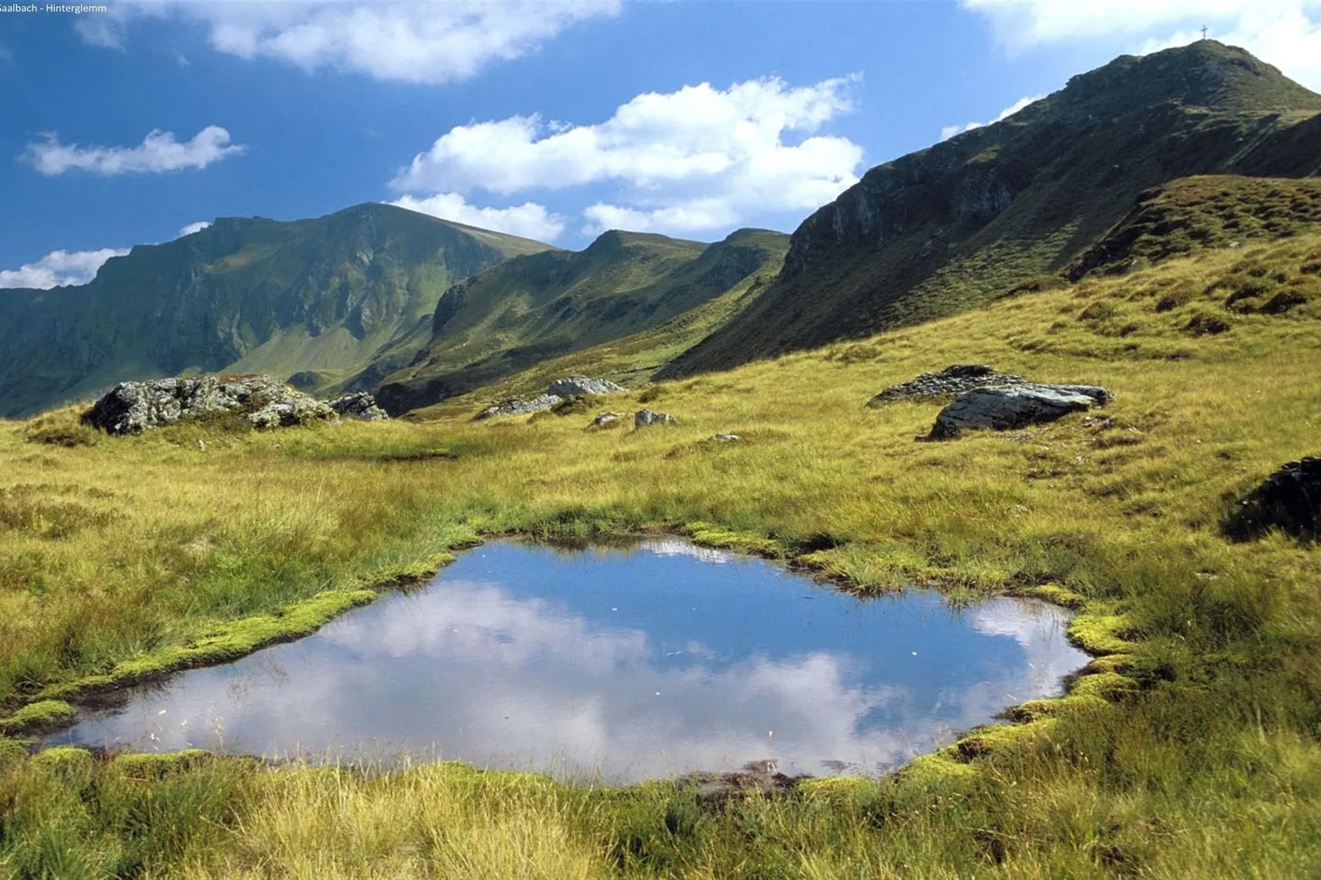 Dans les environs (été) (1-5 km)