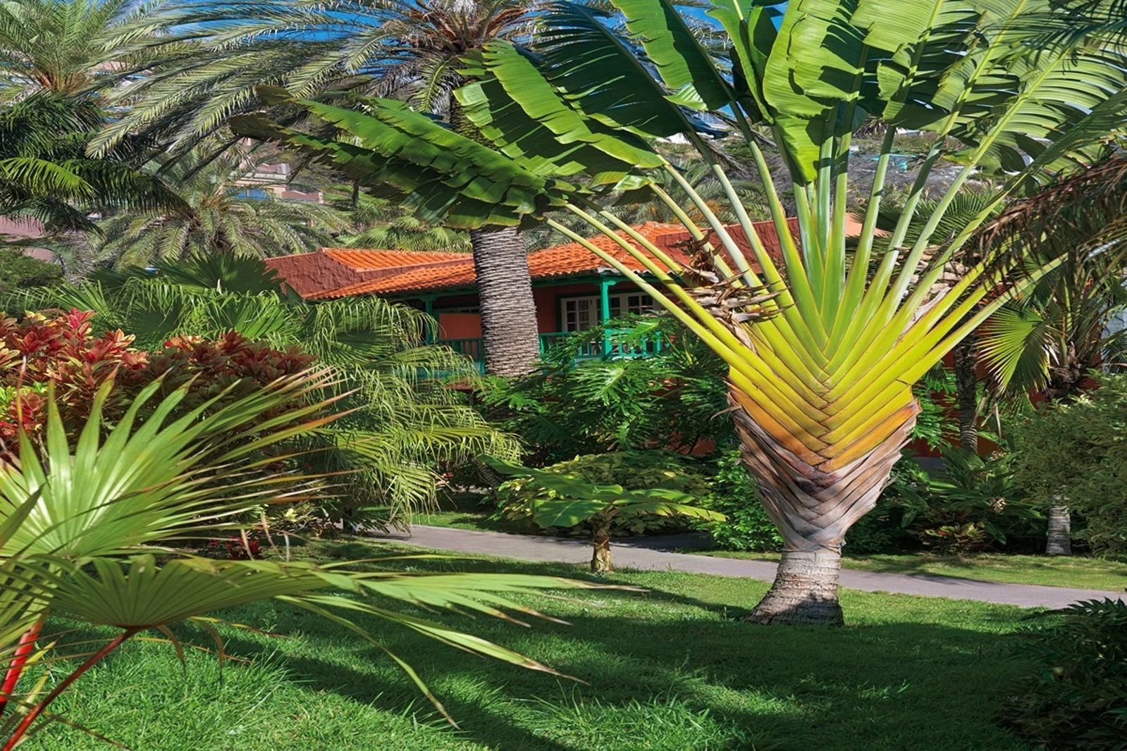 Hacienda San Jorge, foto 5