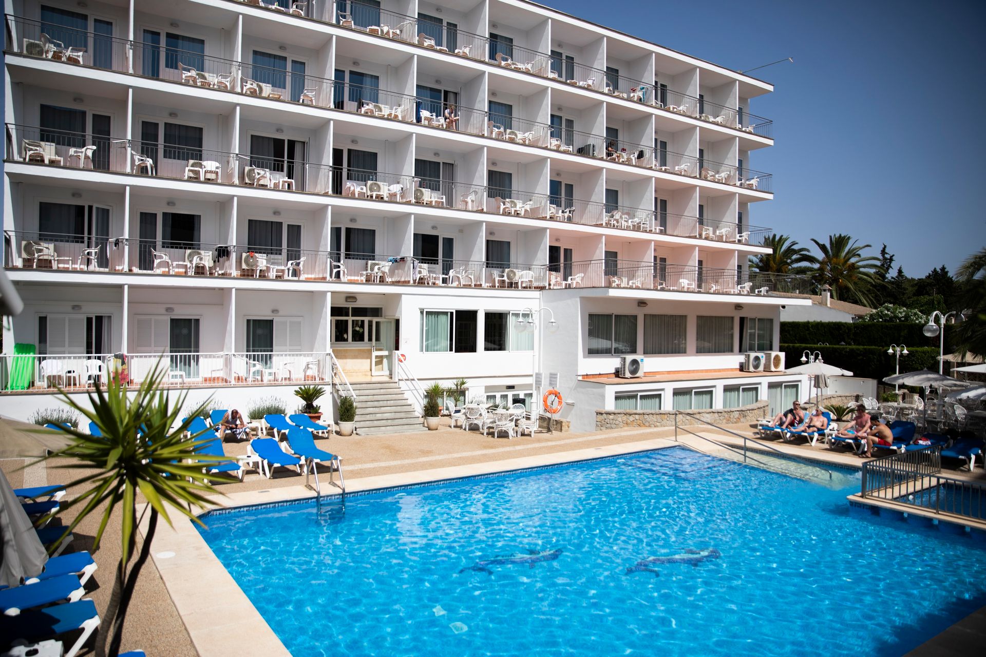 Don Miguel Playa Hotel, foto 8