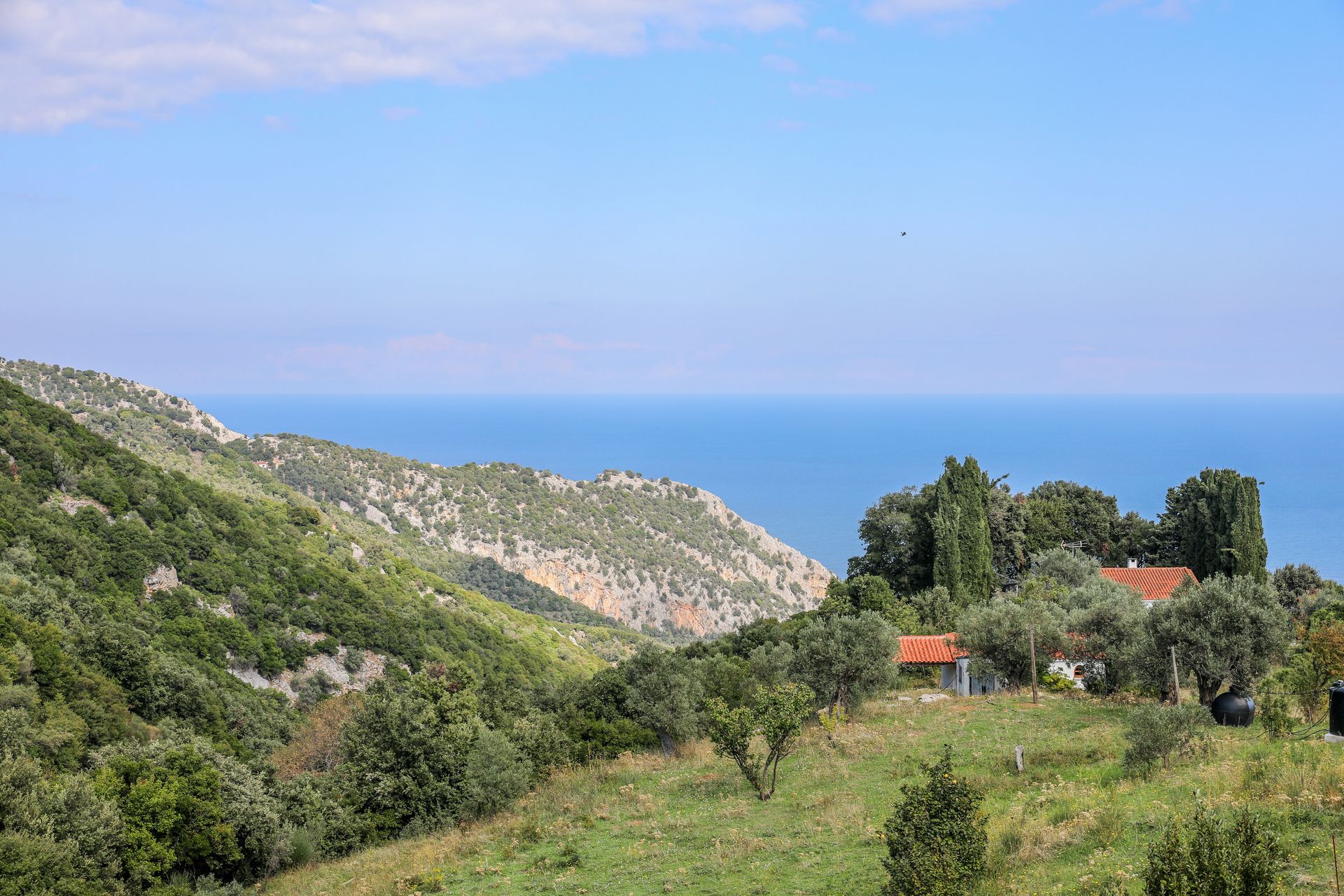Villa Mitzelos, foto 2