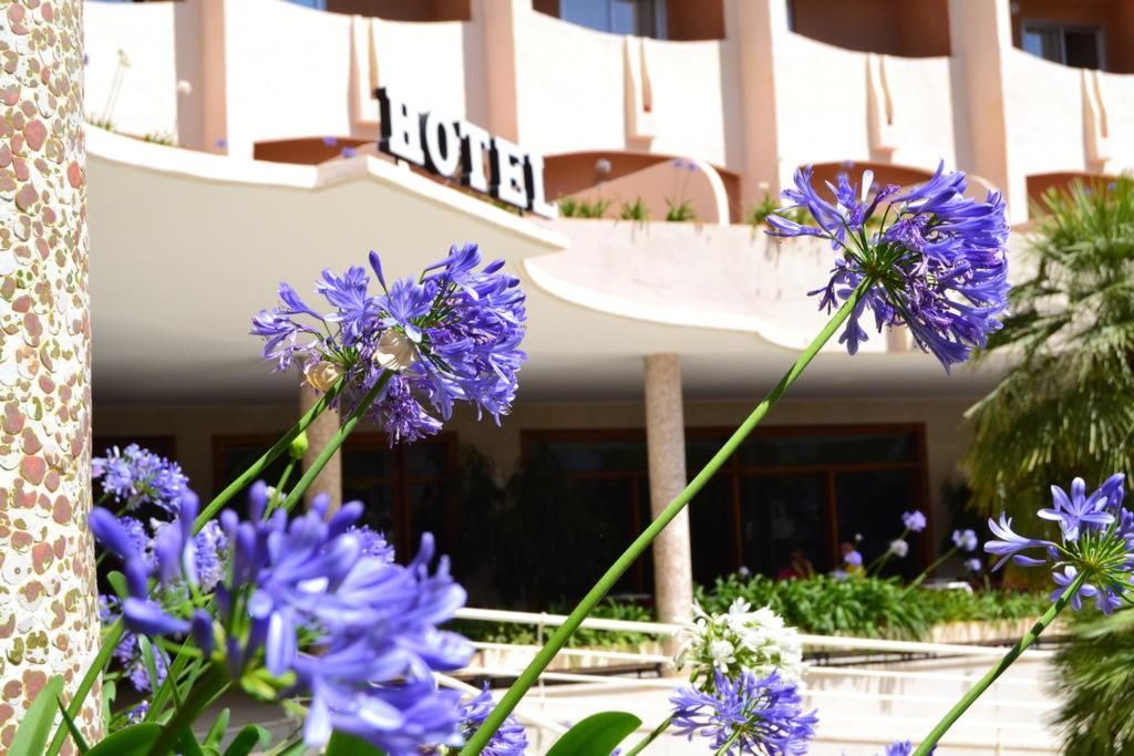Los Robles, foto 10