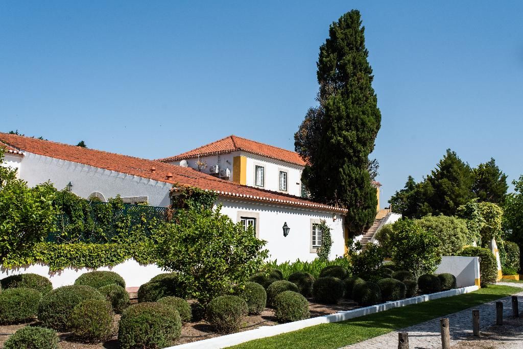 Doma Portugal, foto 12