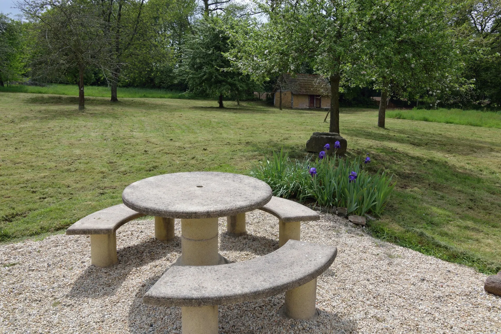 Jardin (été)