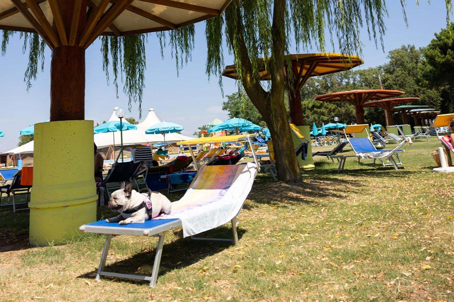 Residence Mare Pineta, foto 6