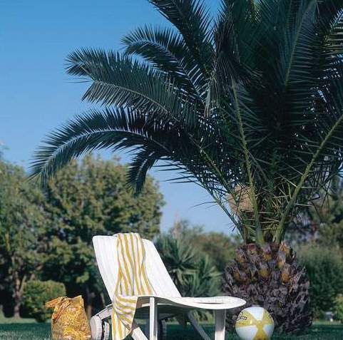 Serra Park Hotel, foto 2