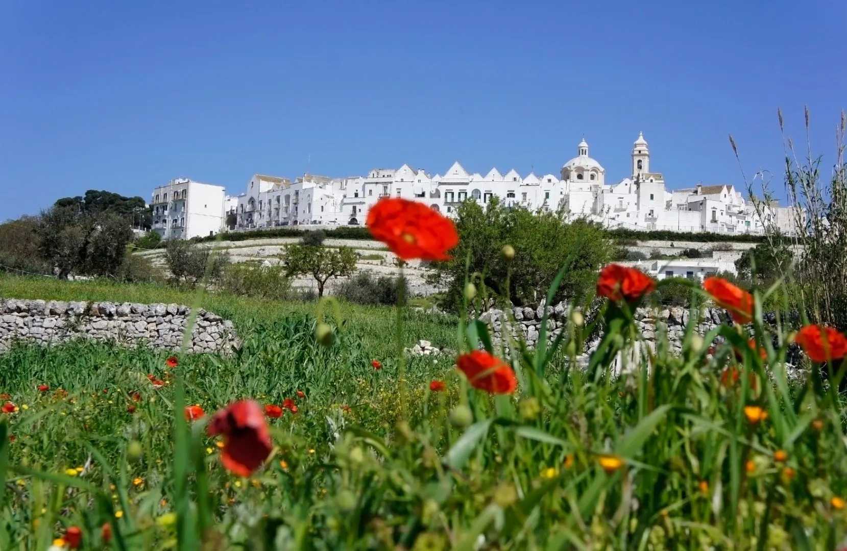 uitzicht op stadje locorotondo - puglia - italie