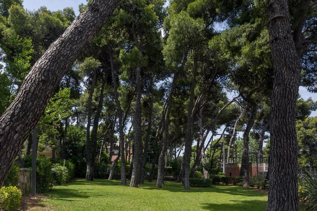 Domotel Kastri, foto 12
