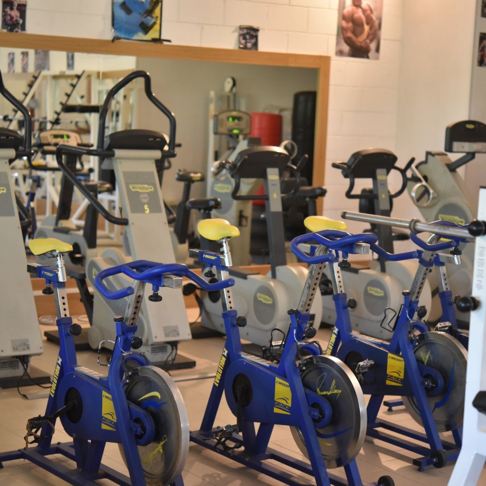Rosapineta Camping Village Casa Mobili by Happy Camp, foto 4