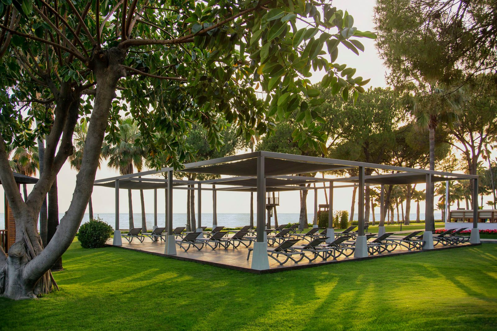 Acanthus Cennet Barut Collection, foto 8