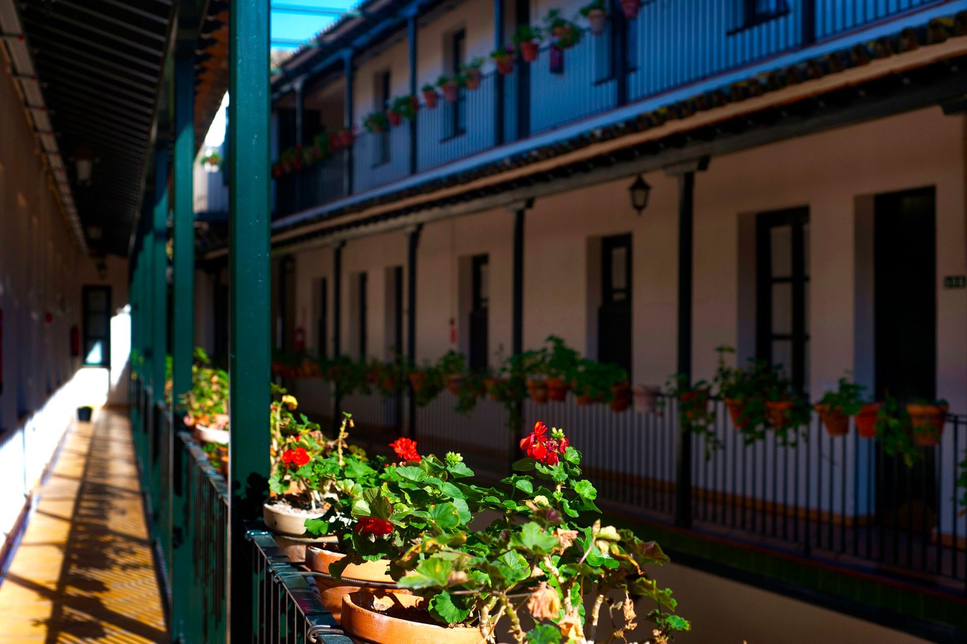 Hoteles Del Sur, foto 4