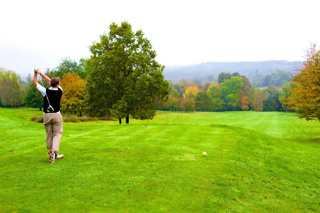 Ashdown Park Hotel & Country Club, foto 6