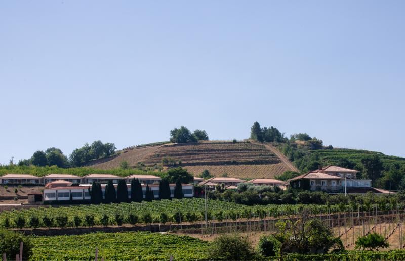 Quinta da Barroca, foto 11