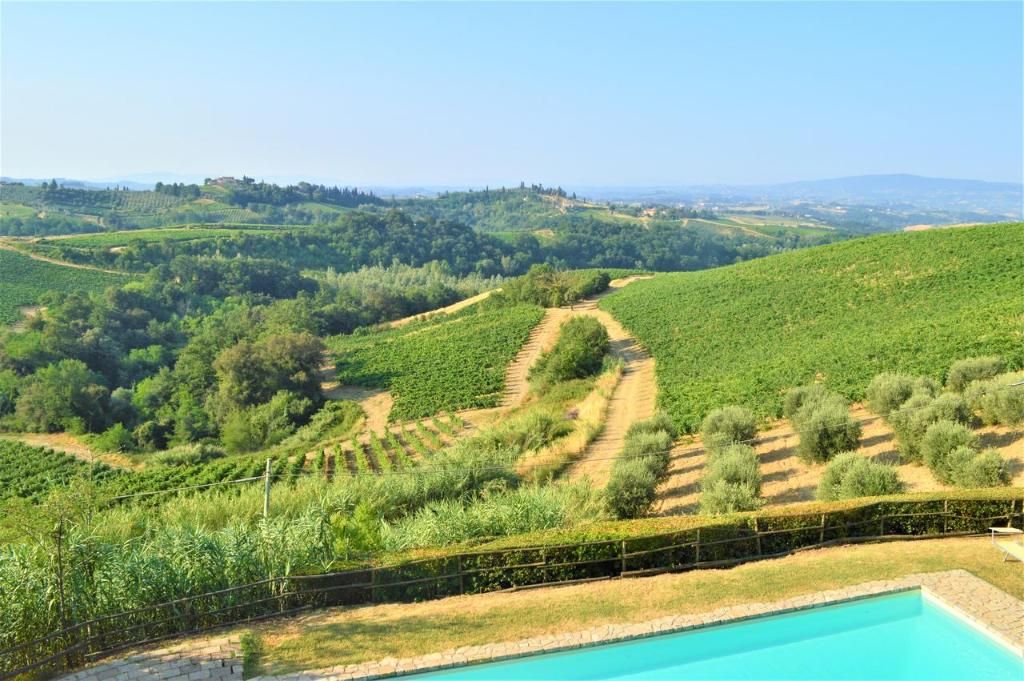 Fattoria il Bacio, foto 2