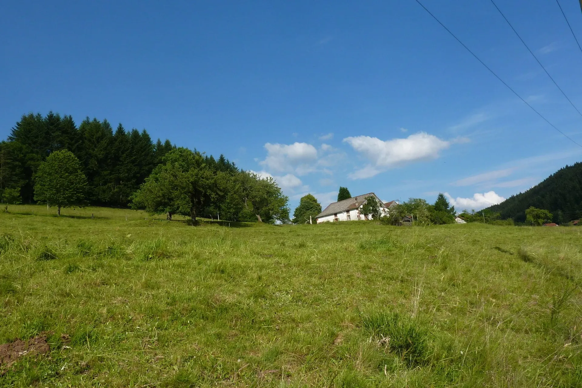Exterieur vakantiehuis (zomer)