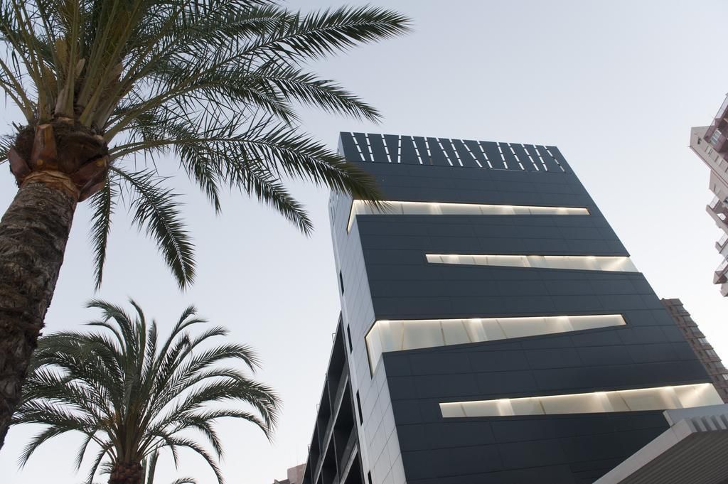 El Palmeral, foto 13