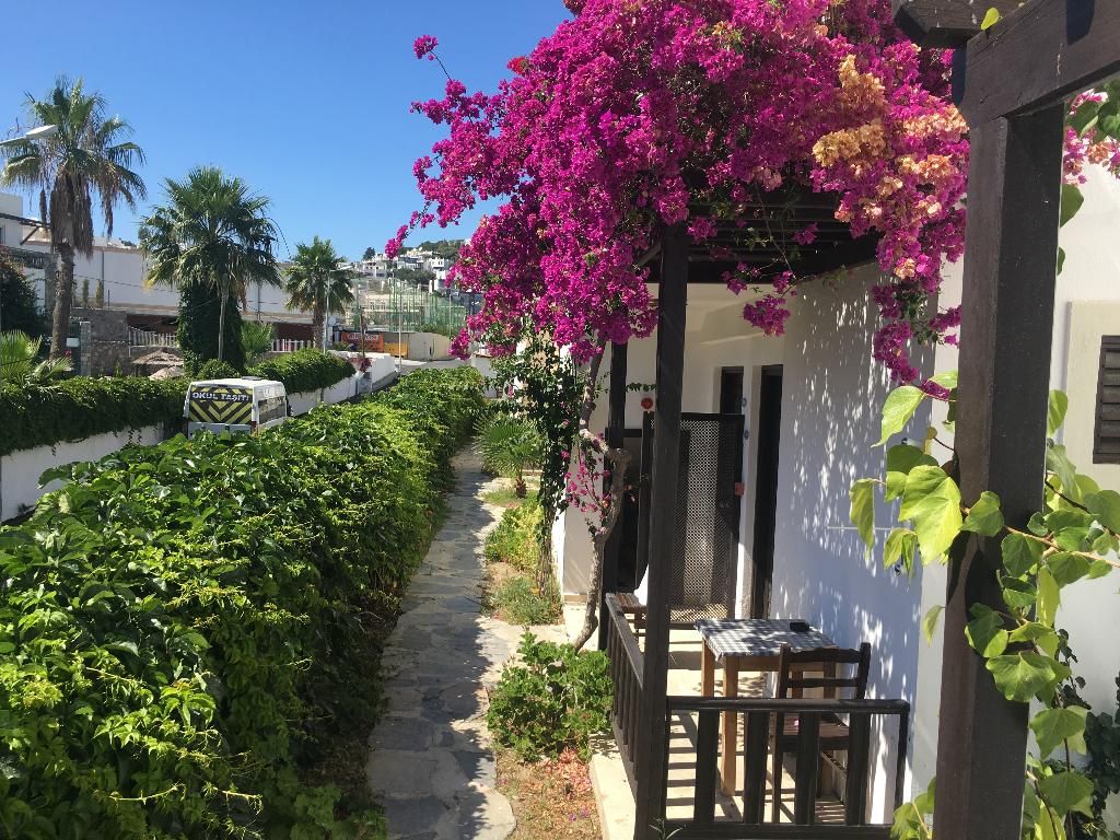 Salinas Beach Hotel Bodrum, foto 5