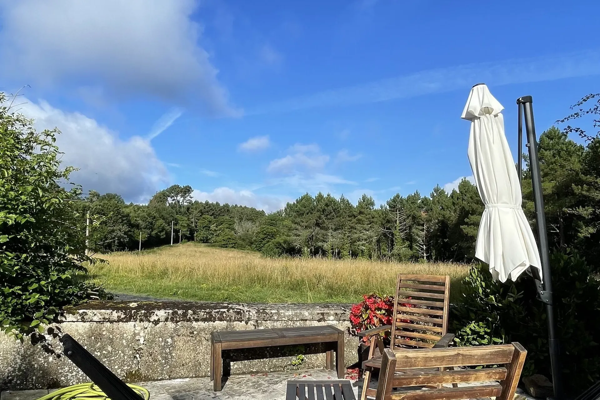Jardin (été)