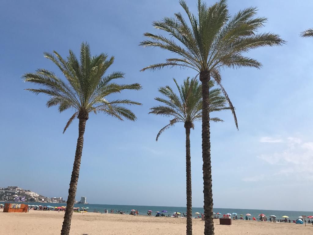 BLUESEA Faro Cullera, foto 6