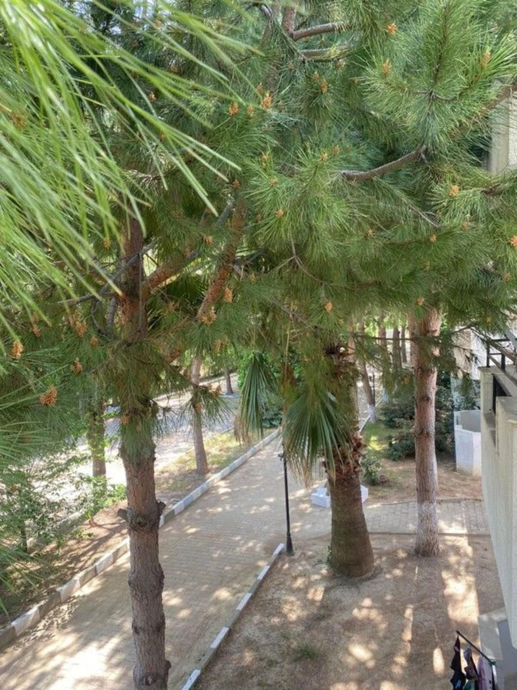 Aparthotel The Palm Club Kusadasi, foto 4
