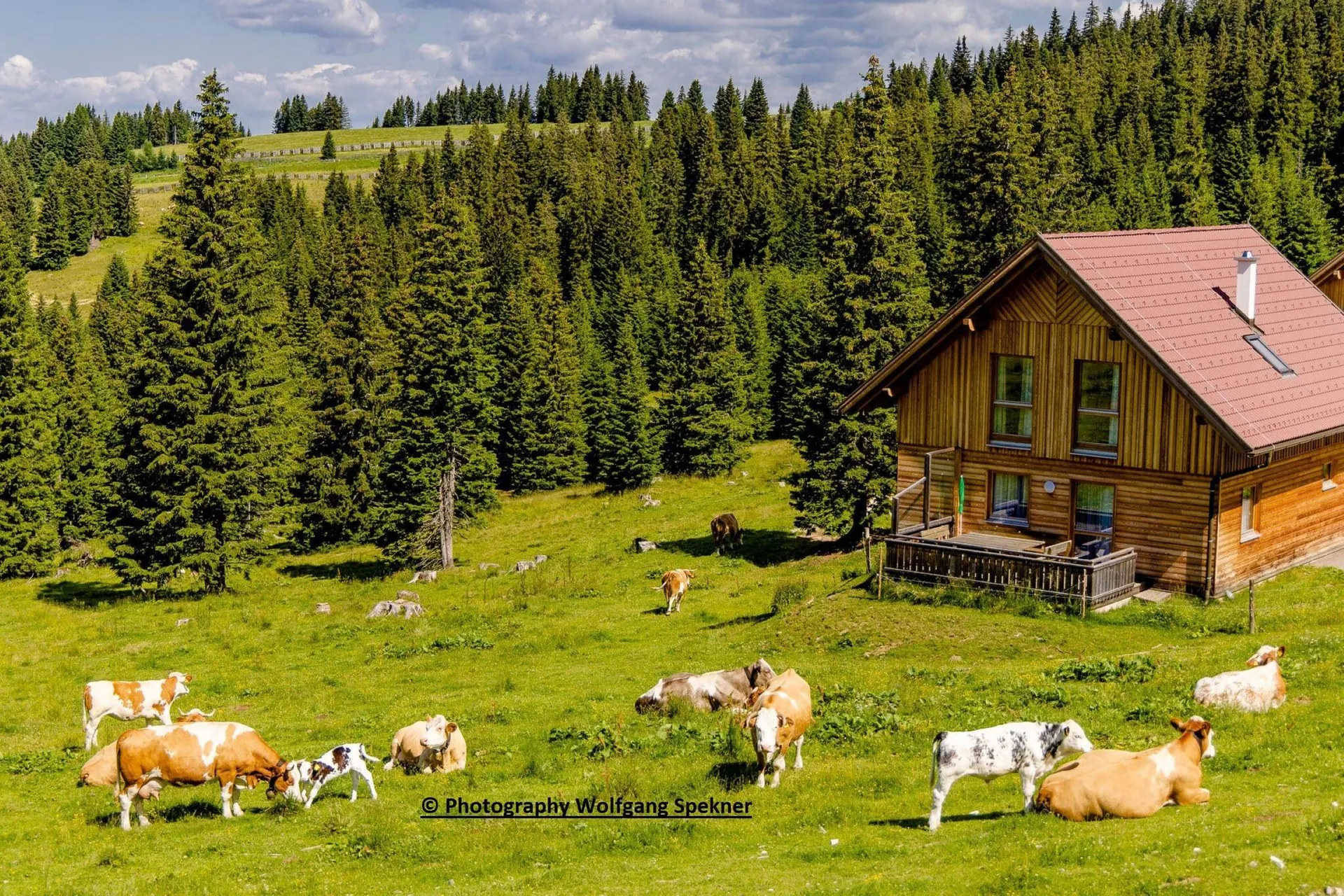 Exterieur vakantiehuis (zomer)