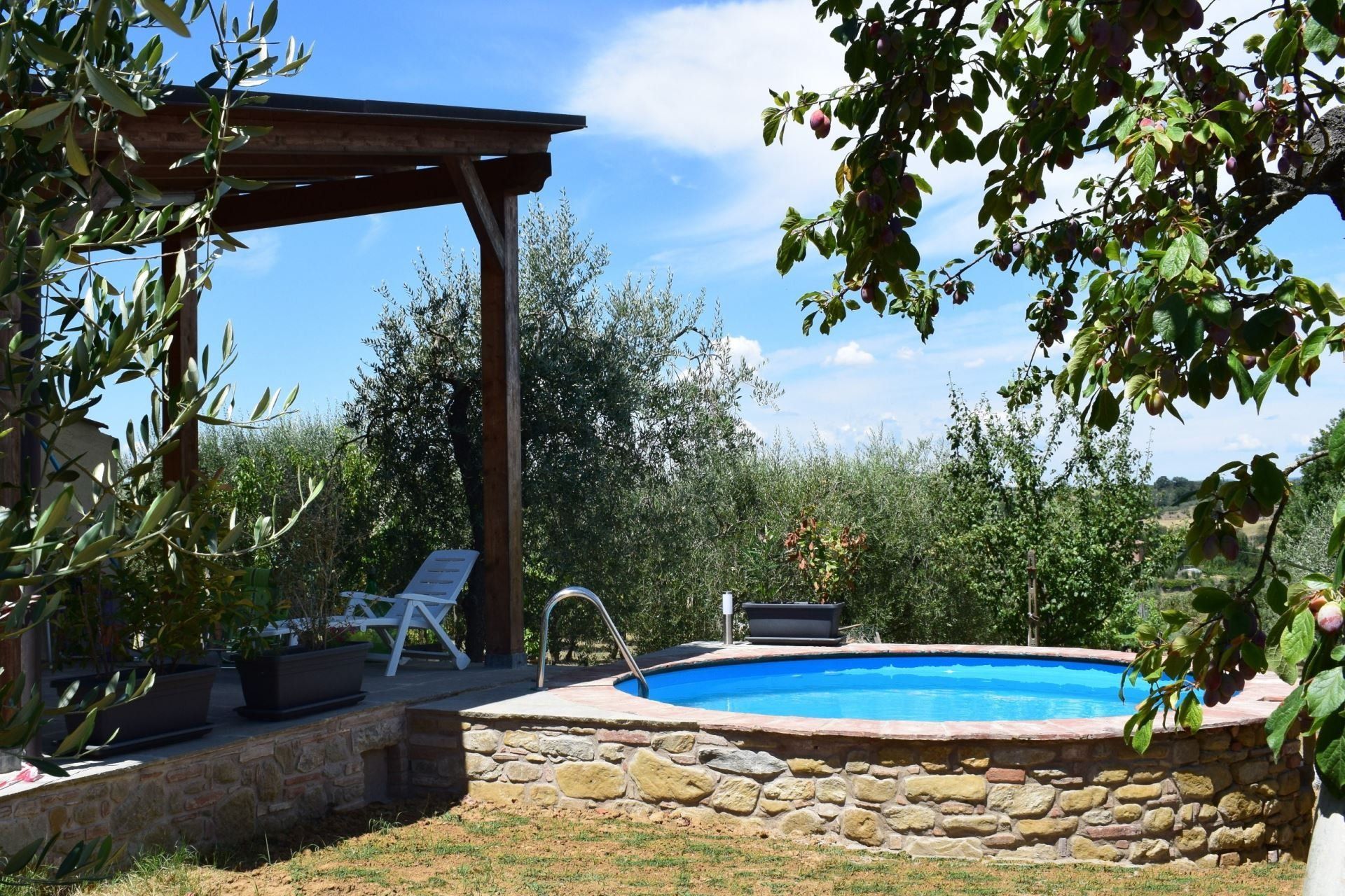Agriturismo Selva degli Ulivi, foto 10