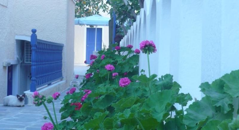 Dilino Hotel, foto 2