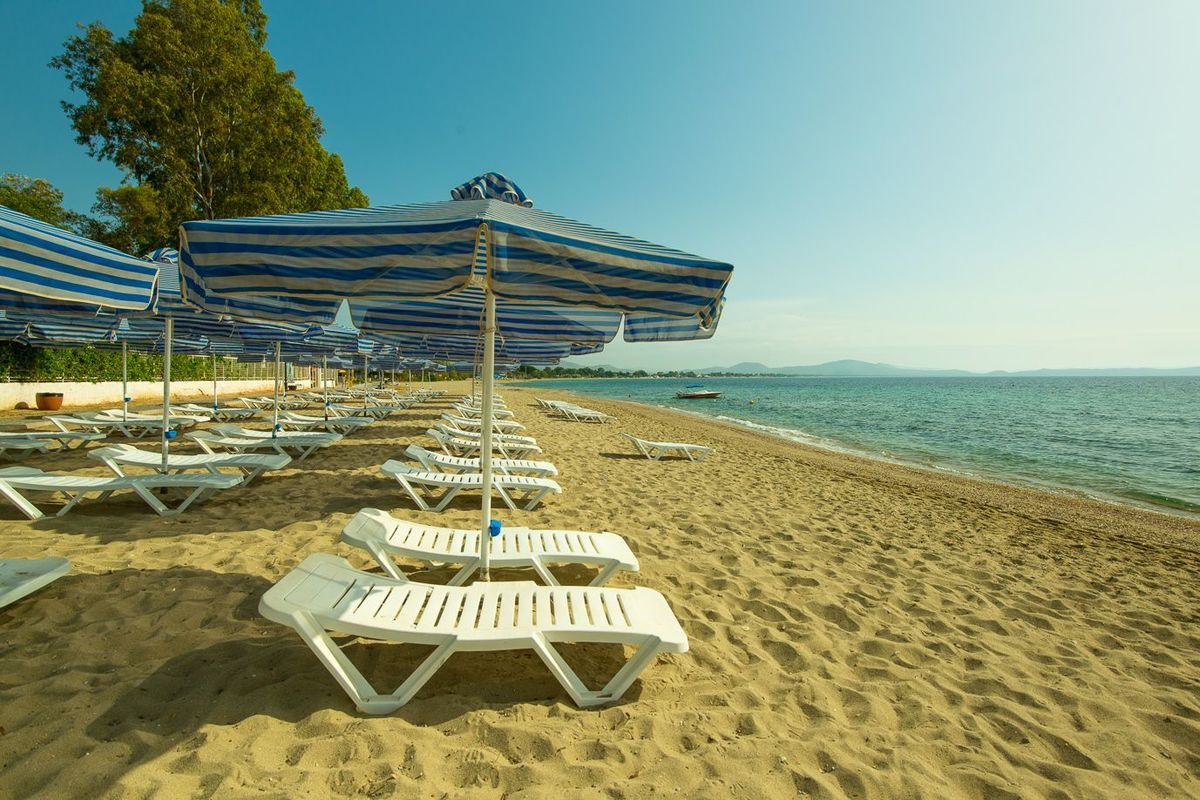 Golden Coast Hotel & Bungalows, foto 12