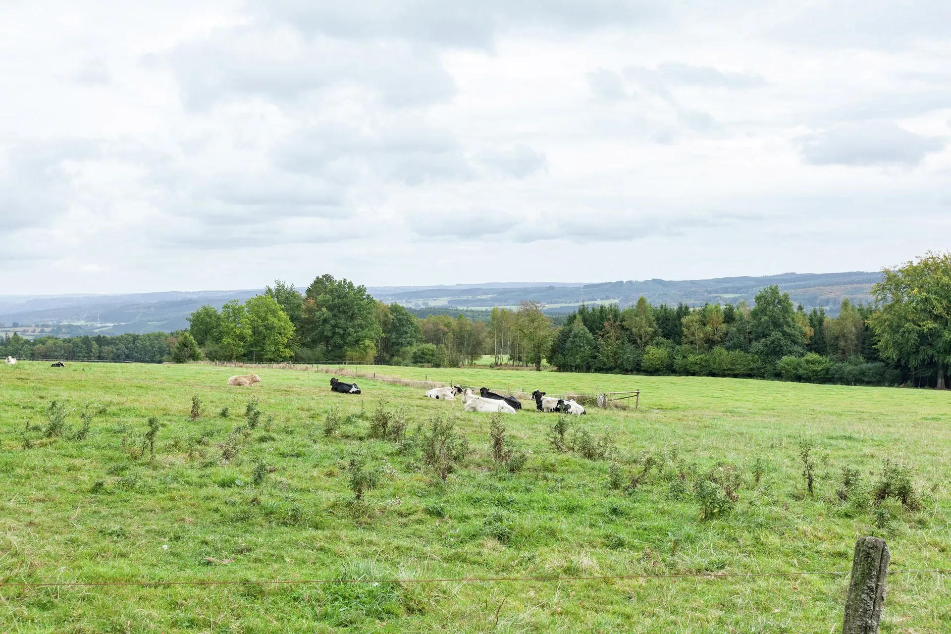 Vue de la maison de vacances (été)