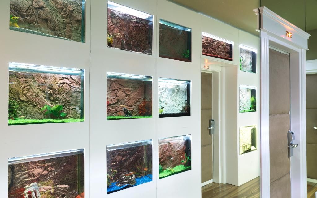 LE RÊVE DE NAIM Roma, foto 14