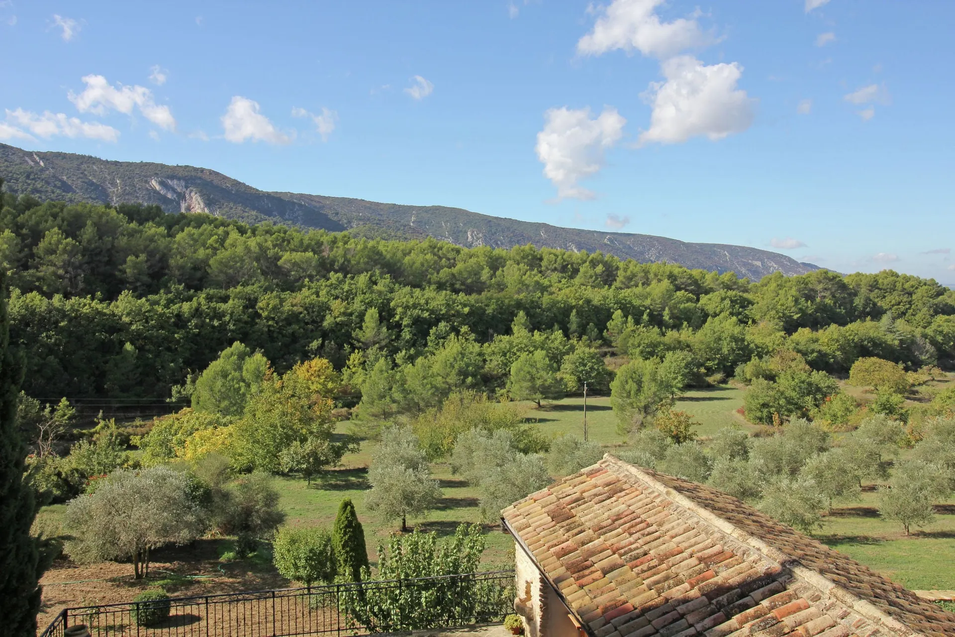 Vue de la maison de vacances (été)