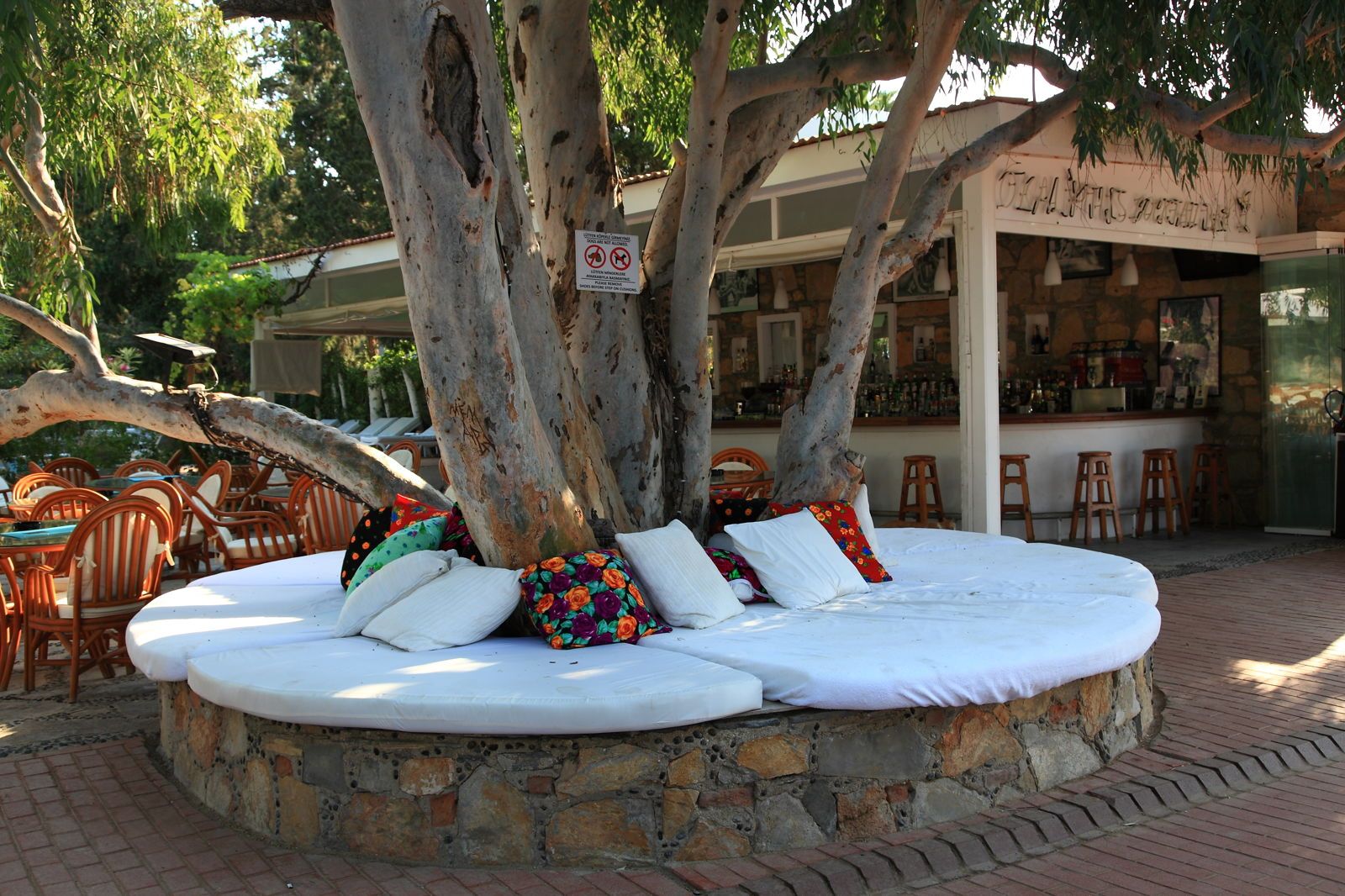 Okaliptus Otel, foto 11