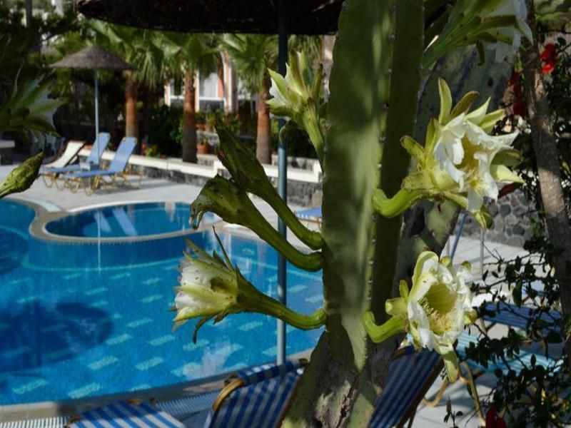 Castro Hotel, foto 8