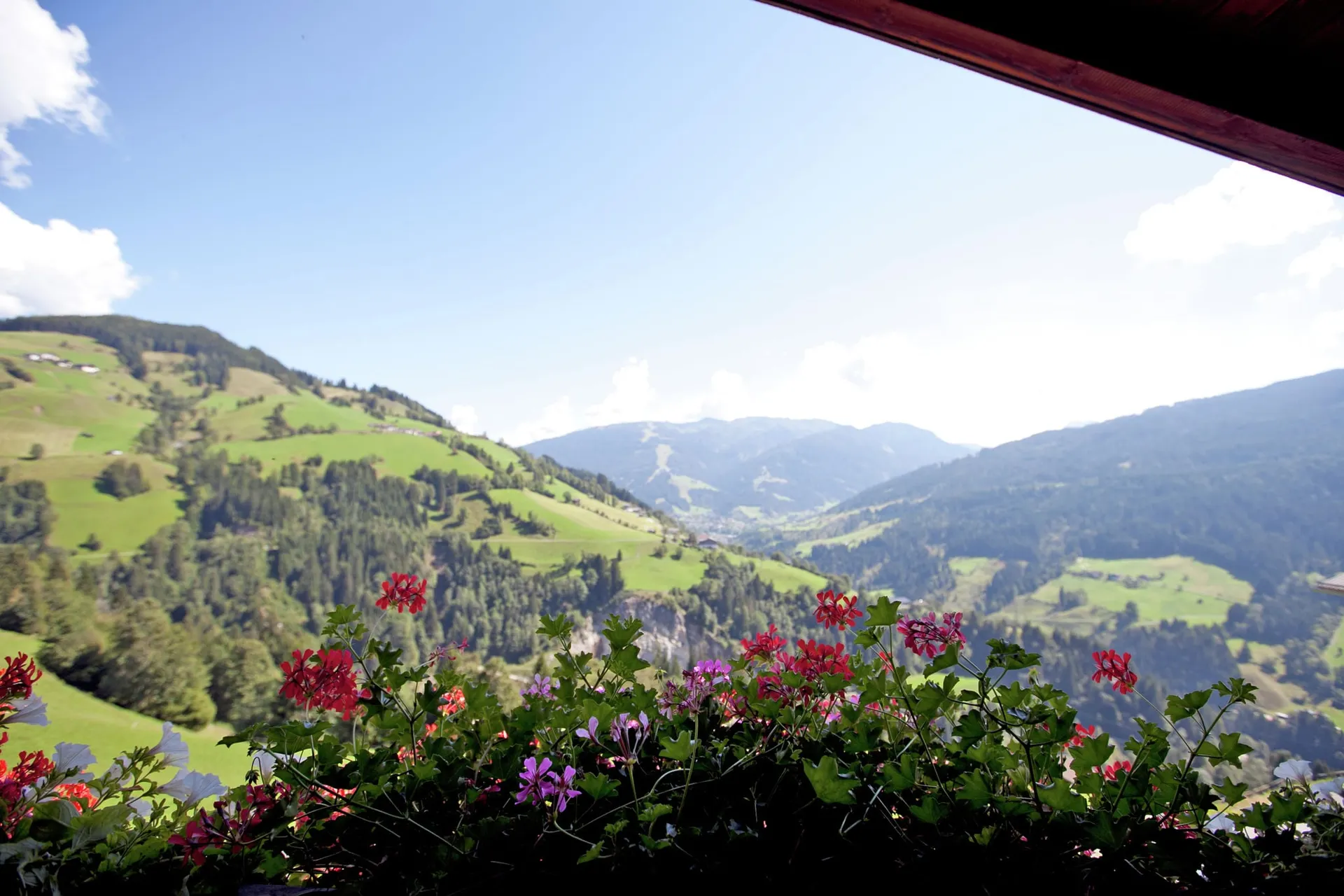 Vue de la maison de vacances (été)