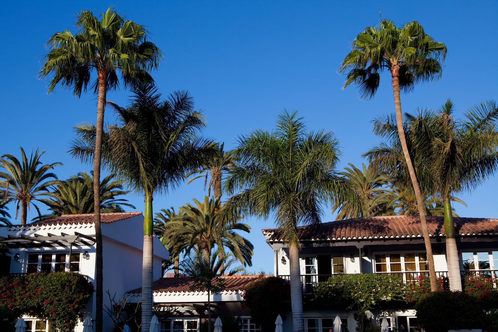 Seaside Grand Hotel Residencia, foto 6