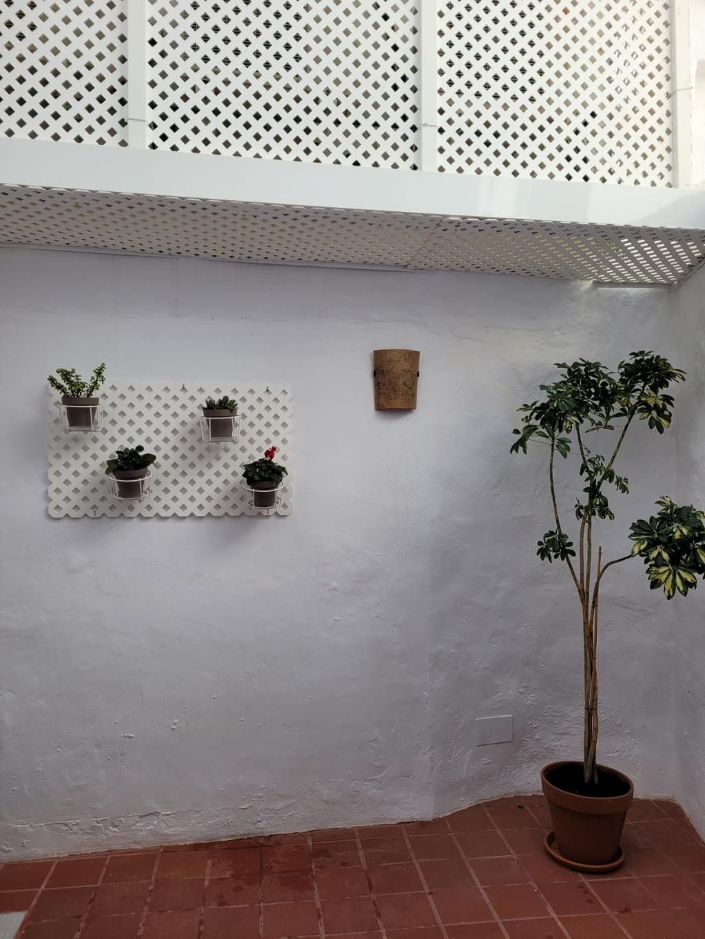 Port Antic Ciutadella, foto 14