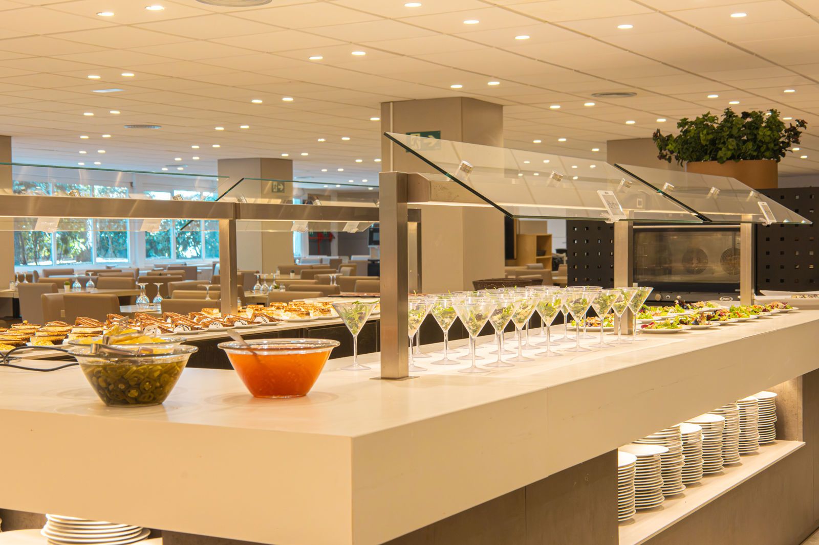 Ohtels Villa Dorada, foto 8