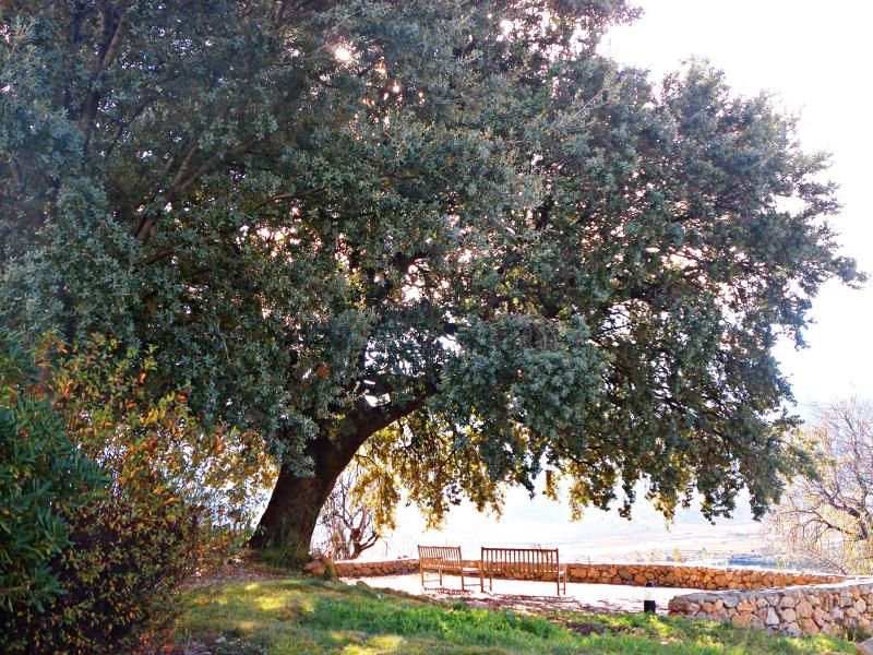 Hotel Villa de Laujar, foto 9